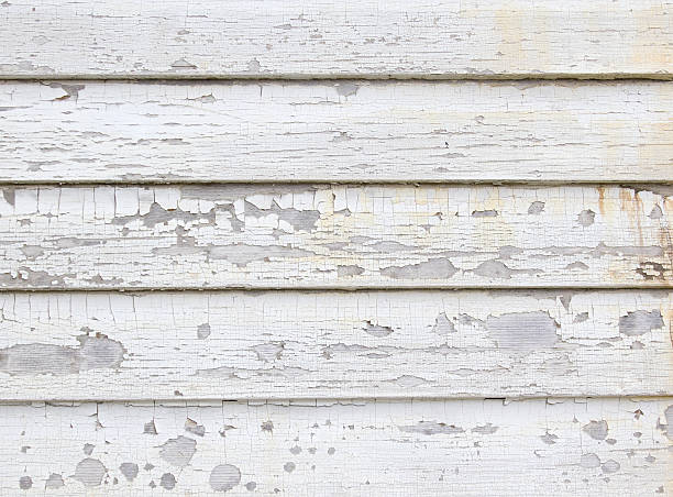 Best Historical Building Siding Restoration  in Monument Hills, CA