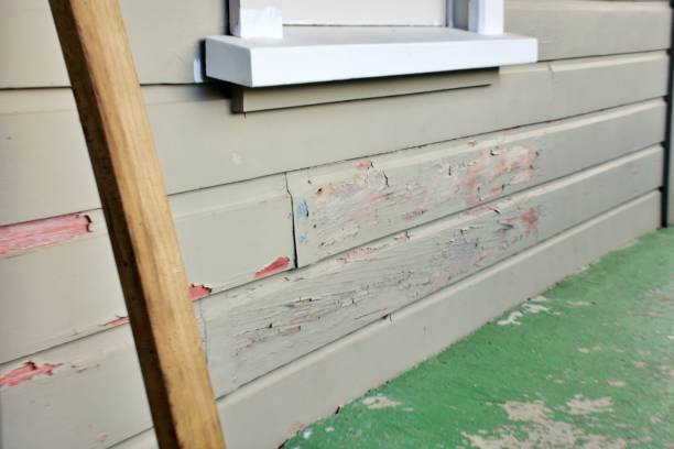 Best Fiber Cement Siding Installation  in Monument Hills, CA